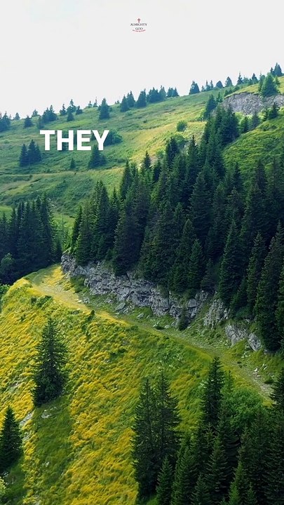 Believe in the Lord of Jesus - Acts 16:31 | Bible Verses | Bible Study