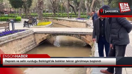 Deprem ve selin vurduğu Balıklıgöl'de balıklar tekrar görülmeye başlandı