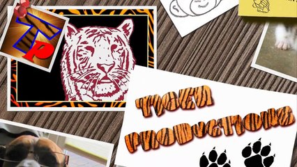 FUNNY DOGS, prepare yourself to CRY WITH LAUGHTER! - Best DOG VIDEOS