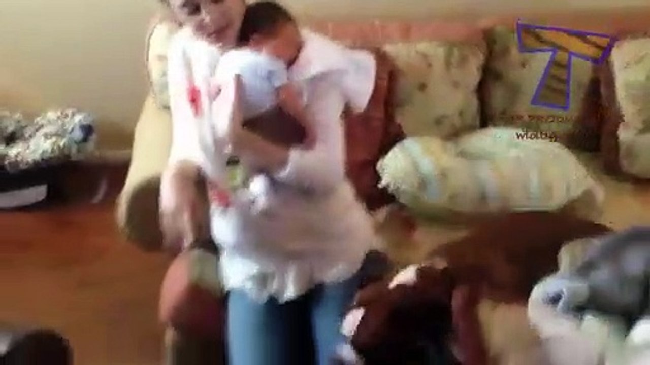 Cats and dogs meeting babies for the first time - Cute animal compilation