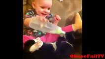 Funny Cats and Dogs Vines Compilation Dogs VS Cats Vines Compilation Dog Vines Start at 13 48