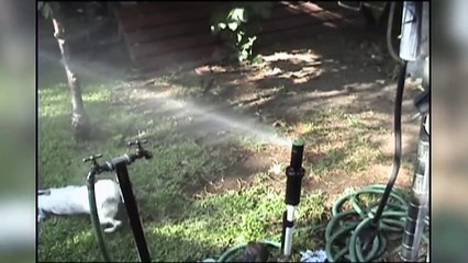 Funniest Pet & Animals Moments Caught On Tape Weekly Compilation 2016   Funny Pet Videos