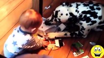 Best Funny Videos Videos Babies Laughing At Dogs Cute Dog Baby Compilation 1416 255