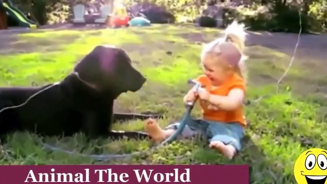 Funny Videos Babies Laughing at Dogs Cute dog baby compilation █▬█ █ ▀█▀