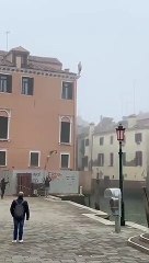 Procurado "idiota" que subiu a telhado e mergulhou para canal em Veneza