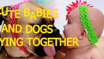 Cute babies and dogs playing together Funny baby & dog compilation (2)