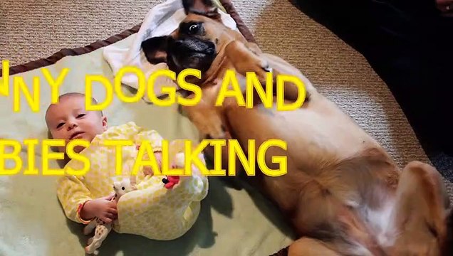 Funny dogs and babies talking Cute dog & baby compilation Funny Baby Videos1