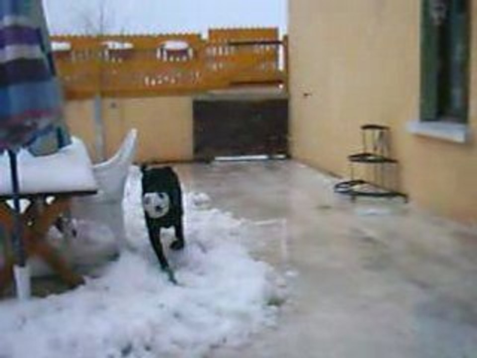Byron joue dans la neige