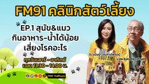 สุนัข&แมว กินอาหารน้ำได้น้อยเสี่ยงโรคอะไร EP.1 : FM91 คลินิกสัตว์เลี้ยง : 25 มีนาคม 2566