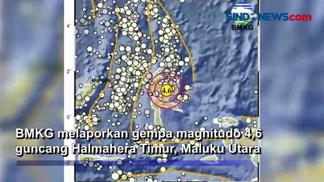 Gempa Dangkal Magnitudo 4,6 Guncang Halmahera Timur
