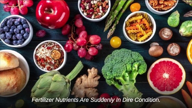 Peter Zeihan The Terrifying Reality Its Started_