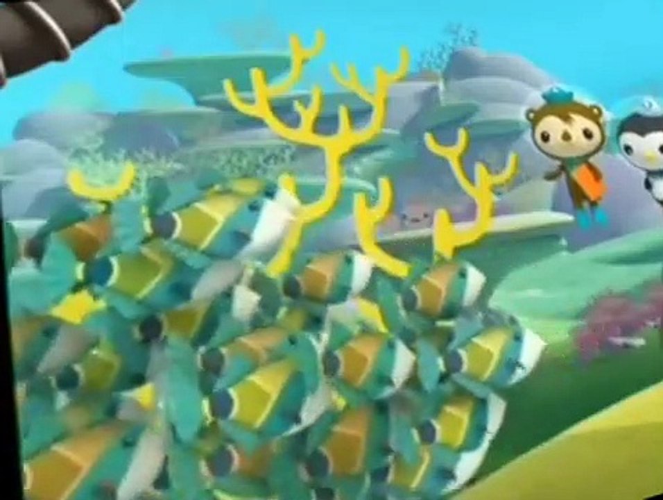 The Octonauts S1, 2, 3 Season 01 E049 - the humuhumunukunukuapua-a ...
