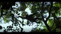 O Império dos Chimpanzés (2023) | Trailer Dublado | Netflix