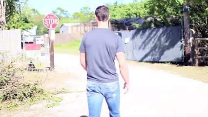 friendship between hyena and humans