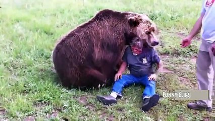 Funny Animal - Man vs Bear 2015 in USA