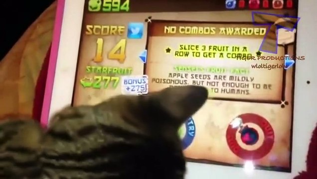 Pets playing video games Funny animal compilation