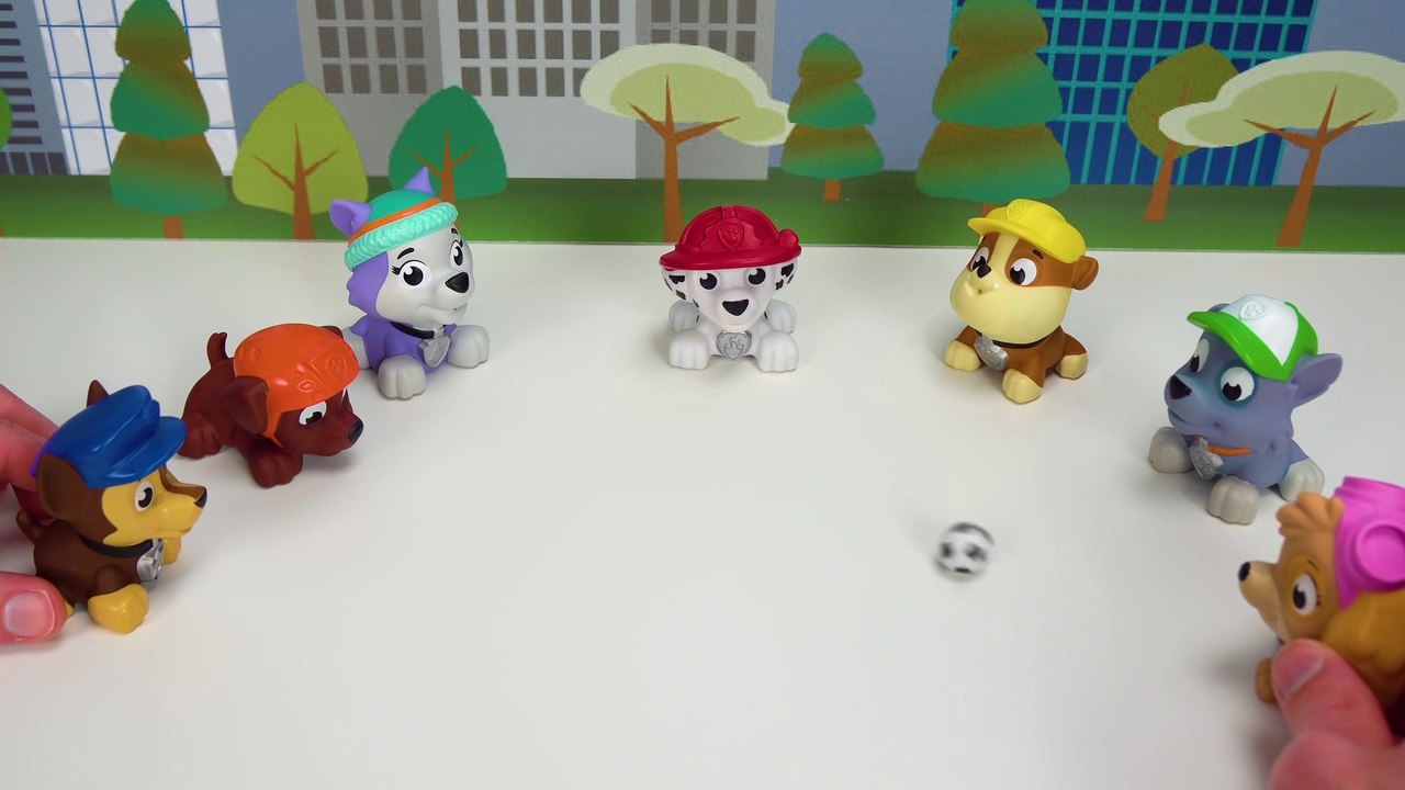 Paw Patrol गलत रंग से रंगे!