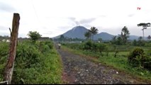 Tetap Siaga! Gunung Semeru di Lumajang Terpantau CCTV Luncurkan Lava Pijar Sejauh 2,5 KM