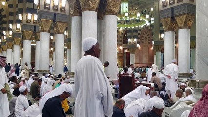2023 Madina Masjid nabawi mashallah