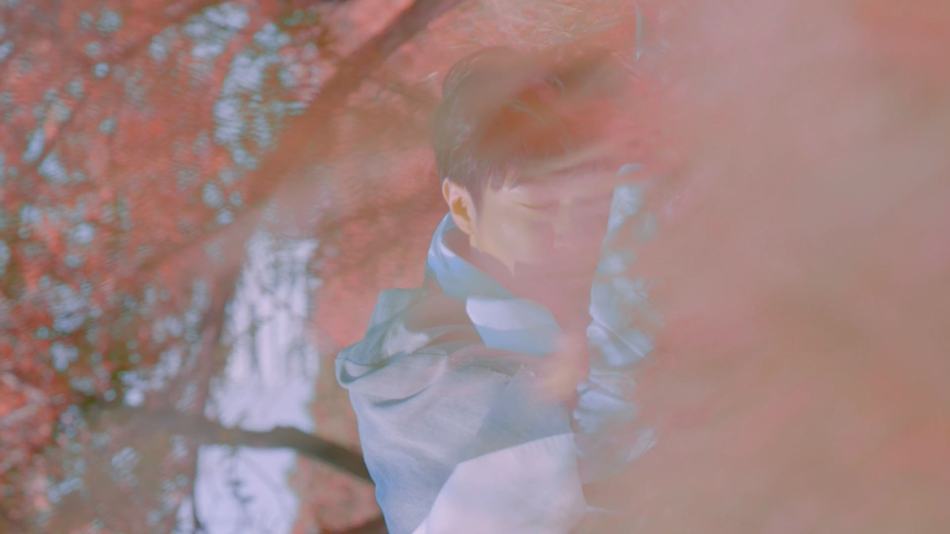 吳青峰 - （......小小牧羊人）