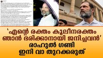 'എന്റെ രക്തം കൂലീനരക്തം ഞാൻ ഭരിക്കാനായി ജനിച്ചവൻ' രാഹുൽ ഗണ്ടി ഇനി വാ തുറക്കരുത് |News