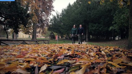 Concerto di Renato Zero a Bologna: trasmesso video con le bellezze dell'Emilia Romagna