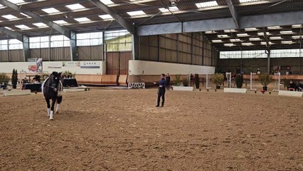 03/03/23 Libre amateur 2 ETHAN NIORT (79)