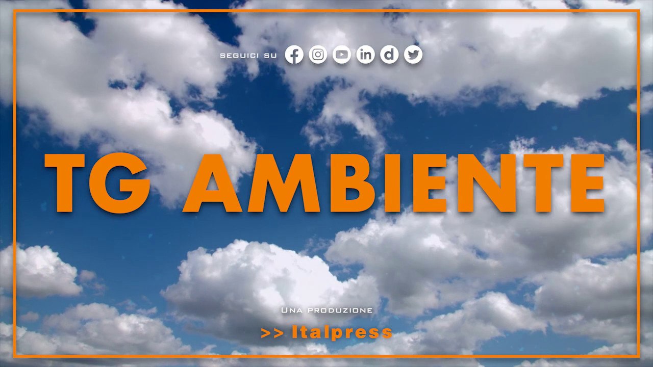 Tg Ambiente - 26/3/2023