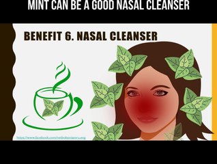 Mint can be a good nasal cleanser