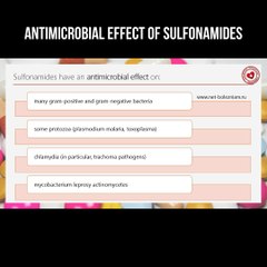 The mechanism of the antibacterial action of sulfonamides