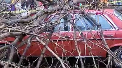 İstanbul'da ağaç 2 aracın üzerine devrildi