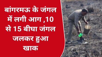 उन्नाव: धधक उठा जंगल, 15 बीघा जंगल जलकर हुआ खाक
