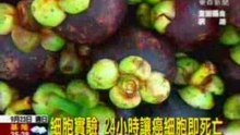 Taiwan TV- Power of Mangosteen