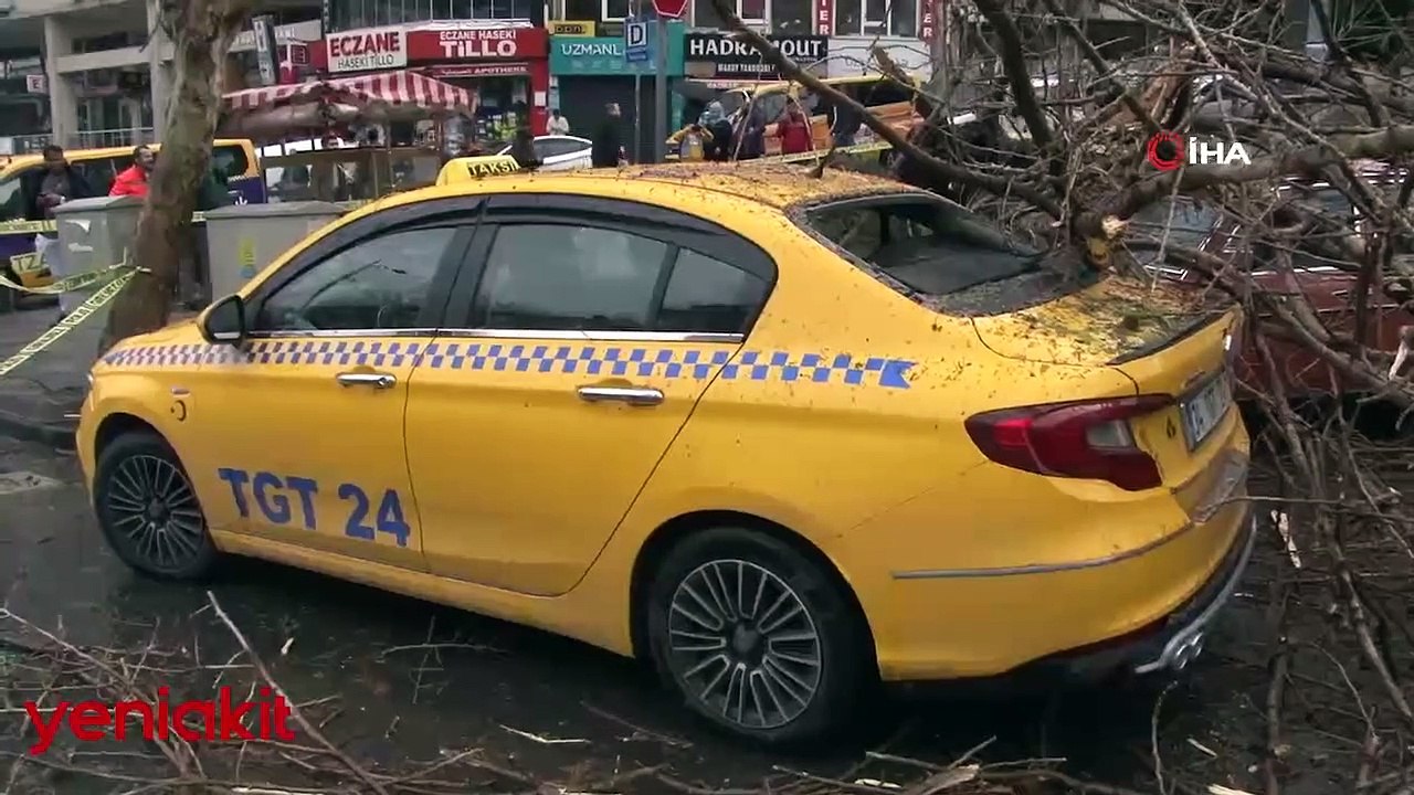 Fatih’te asırlık ağaç otomobillerin üzerine devrildi