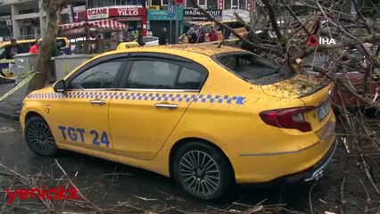 Fatih’te asırlık ağaç otomobillerin üzerine devrildi