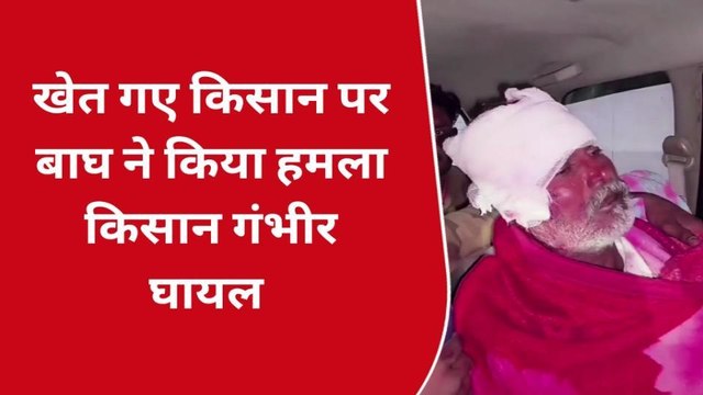 खीरी: खेत पर काम कर रहा था किसान, आदमखोर बाघ ने किया जानलेवा हमला, और फिर
