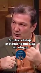 Orucun insan sağlığına faydası! Prof. Bayraktar anlattı