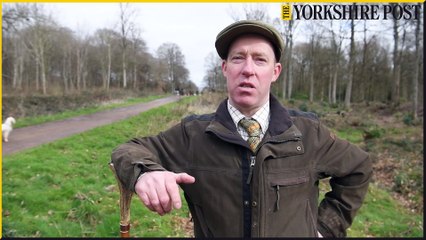 Wentworth Clumber Trials