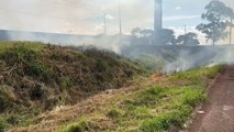 Incêndio em vegetação prejudica visibilidade na rodovia 467