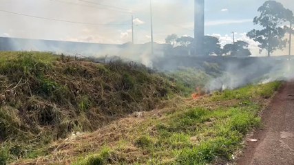 Incêndio em vegetação prejudica visibilidade na rodovia 467