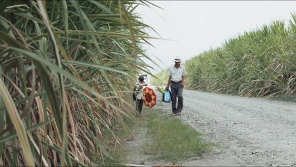 La Terre et l'Ombre, Bande-annonce, Sortie le 03/02/2016