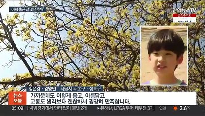 오늘 꽃샘추위, 곳곳 한파주의보…이번 주도 미세먼지