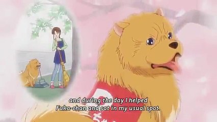 Aru Hi Inu no Kuni kara Tegami ga Kite
