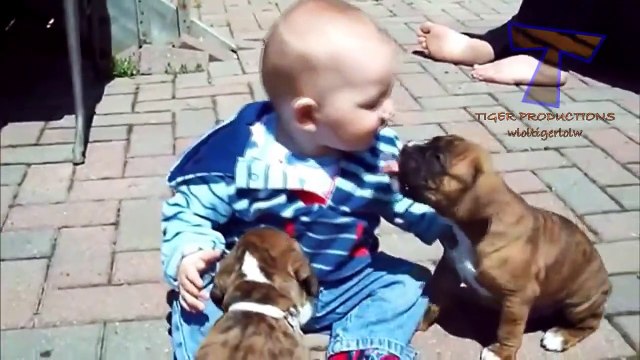 Funny babies annoying dogs Cute dog & baby compilation