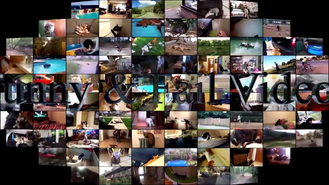 Cats scared of Cucumbers Compilation - Part 2 - Cats Vs Cucumbers - Funny Cats 2016