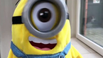 Funny Dogs VS  TUMBLIN STUART  The Minion! Part 1 (2)