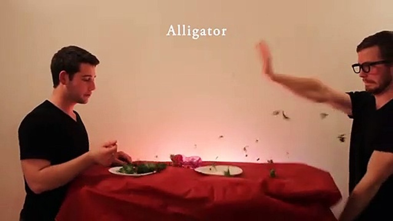 How Animals Eat Their Food   MisterEpicMann