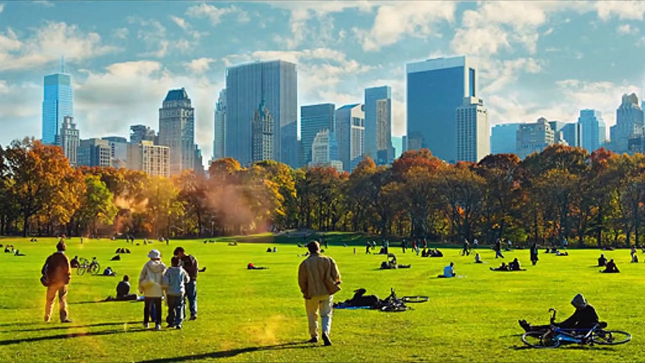 Very funny dog tells a funny joke (In the hood)