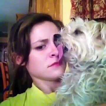 Top 10 puppy Funny vines Compilation Cute Puppies Playing 2015