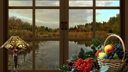 Rain Falling on Window l Relaxing Gentle Rain Sounds for Sleeping Problems,